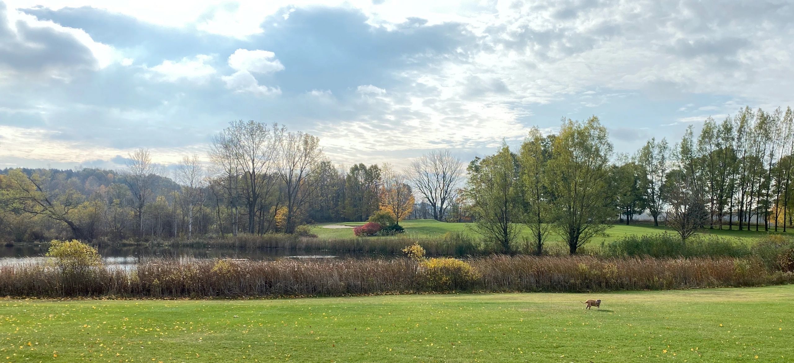 Places to Eat Golden Sands Golf Course Bucket Bar